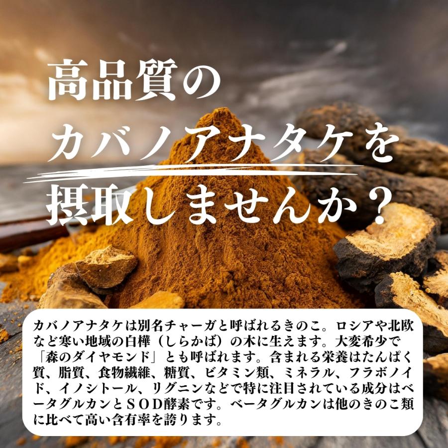 カバノアナタケ粉末 500g×5個 カバノアナタケ茶 チャーガ茶 チャガ茶