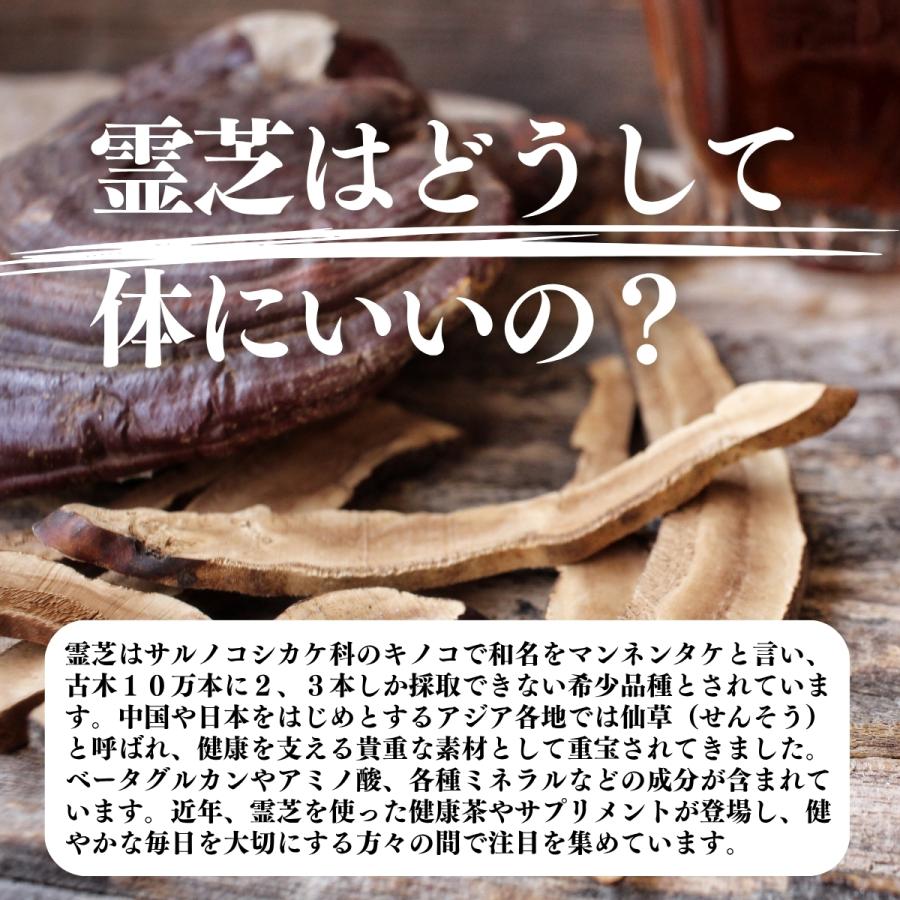 自然健康社 霊芝茶30パック×5個 レイシ茶 れいし茶 無添加 : 青