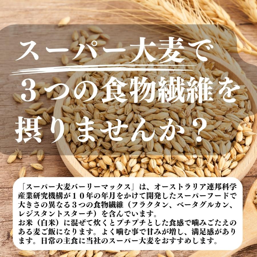 バーリーマックス  玄麦 スーパー大麦 1kg×20セット　帝人 TEIJIN バーリーマックス 玄麦 スーパー大麦 1kg×20セット 帝人 TEIJIN 【公式