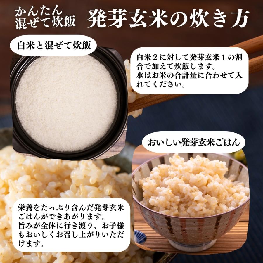 発芽玄米 1kg×5個 発芽米 玄米 無洗米 国産 ギャバ GABA｜hl-labo｜12