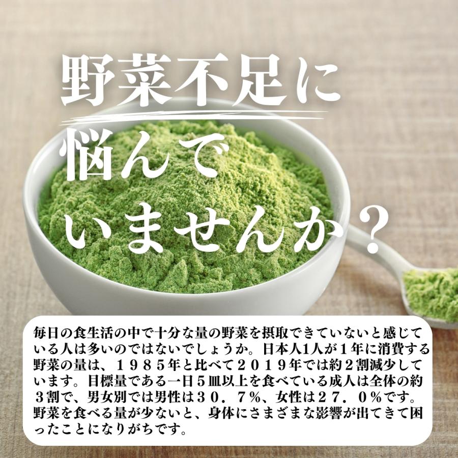 明日葉粉末 1kg×5個 明日葉 パウダー 青汁 粉末 国産 八丈島産 爆買 | 自然健康社 | 02