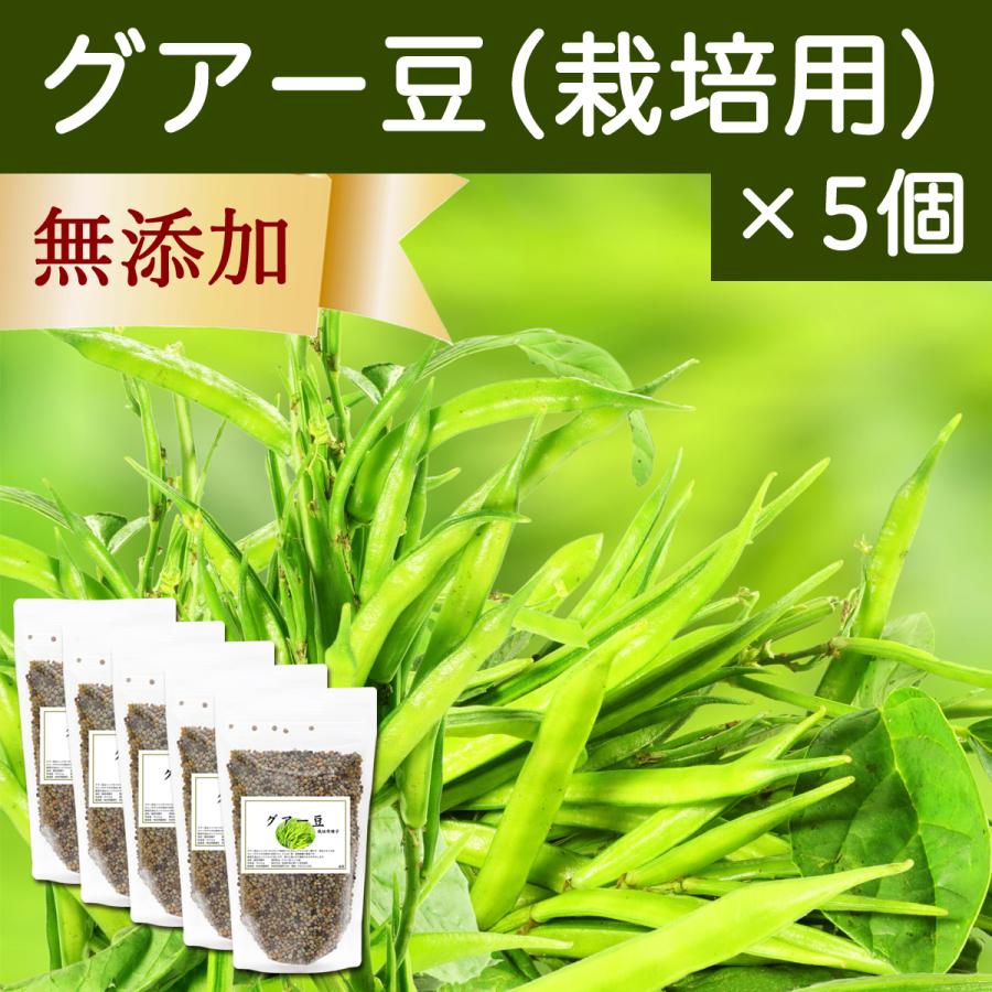 グアー豆400g×5個 作り出す用 内果皮 グア豆 固まり豆 花、ガーデニング-種、種子