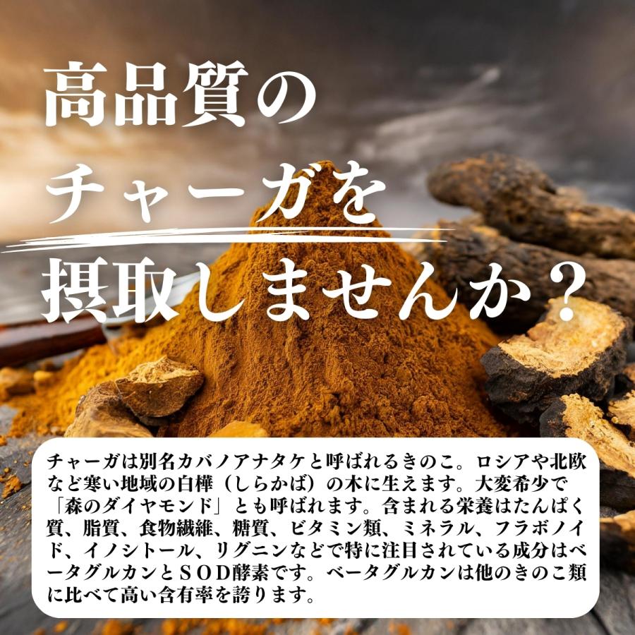 チャーガ粉末 500g×5個 チャーガ茶 パウダー サプリ チャガ茶 チャガティーの画像