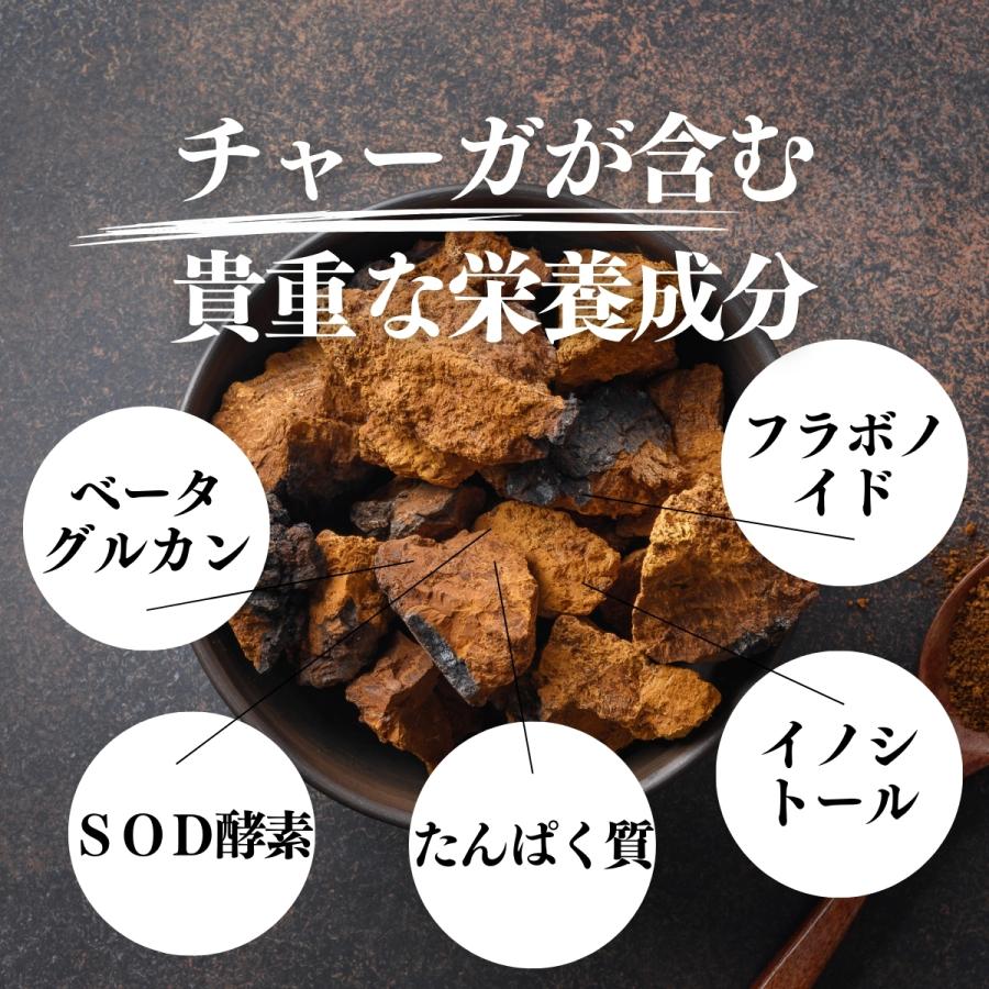 チャーガ粉末 500g×5個 チャーガ茶 パウダー サプリ チャガ茶 チャガティーの画像