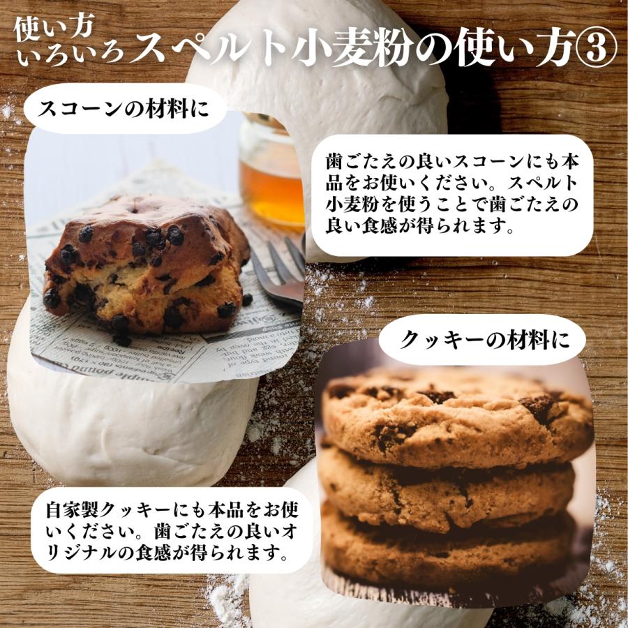 小麦粉 強力粉 国産 石臼挽き 北海道産スペルト小麦 強力粉 全粒粉 1kg