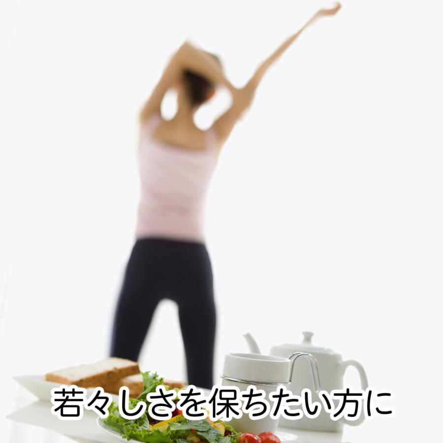 ごまハニー白ビン600g 胡麻 ペースト 無添加 蜂蜜  送料無料｜hl-labo｜07