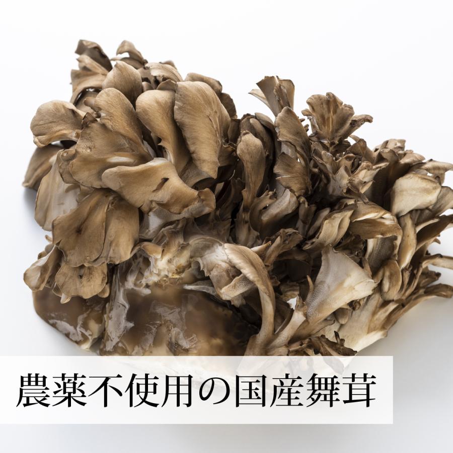 ショッピング まいたけ粉末 500g 舞茸粉末 まいたけ茶 舞茸茶 無添加 100 送料無料 Dprd Jatimprov Go Id