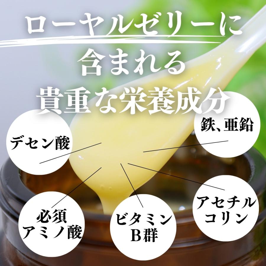 自然健康社 ローヤルゼリー 110g 生ローヤルゼリー サプリ 冷凍