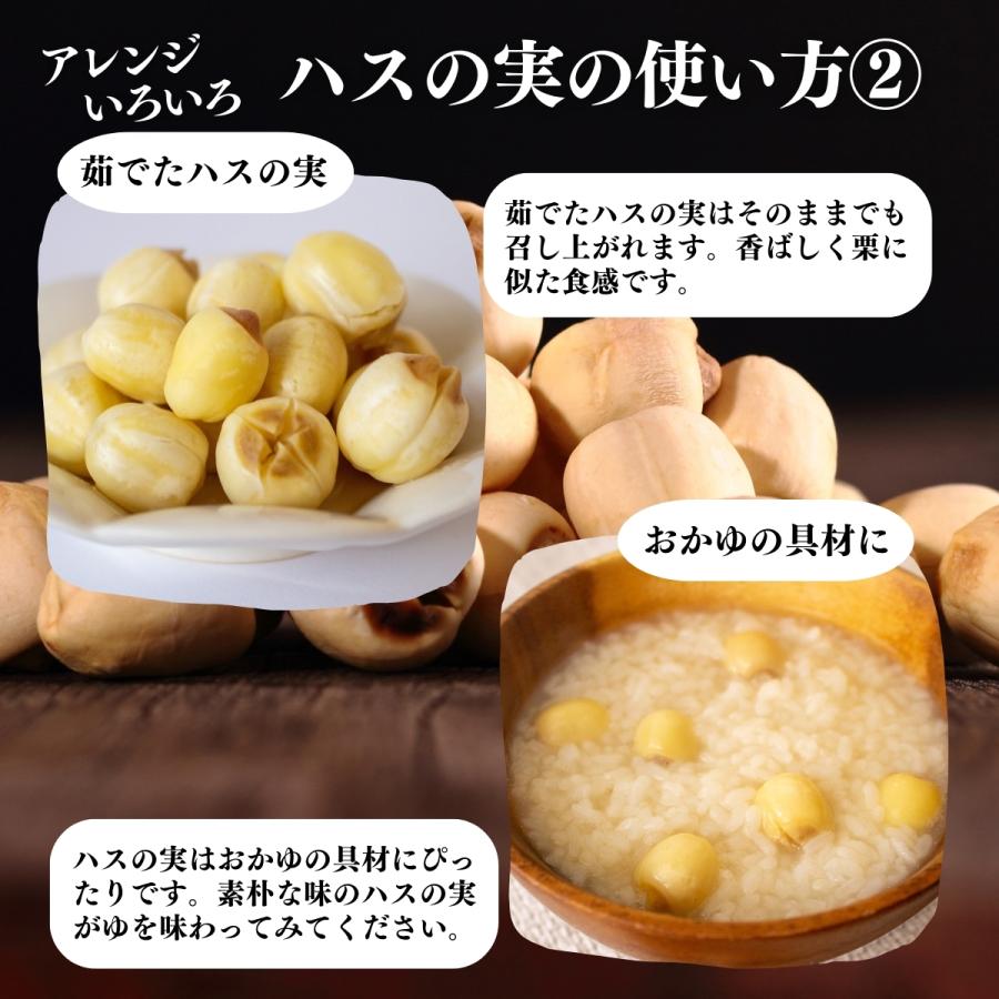 自然健康社 ハスの実 300g 蓮の実 はすの実 ドライ 無添加 餡に 無漂白
