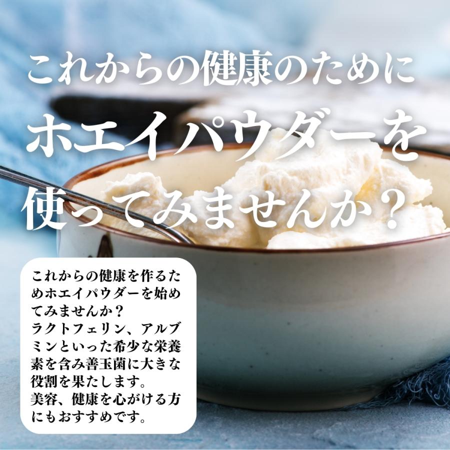 ホエイ 100g ホエイ パウダー 粉末 乳清 サプリ 無添加 100% 送料無料｜hl-labo｜11