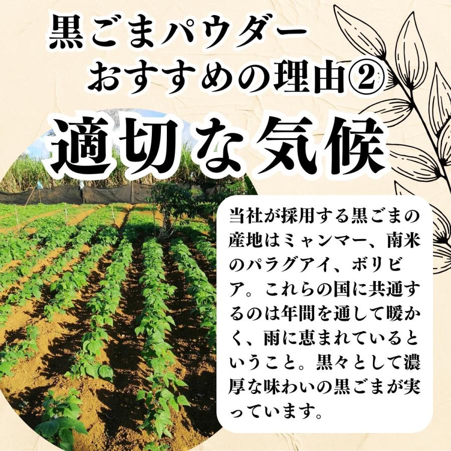 黒ごまパウダー 500g 黒ごま 粉末 セサミン サプリ 黒胡麻 送料無料｜hl-labo｜10