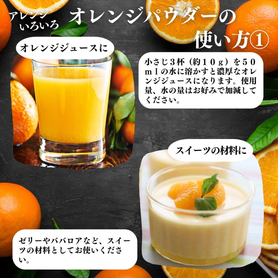 自然健康社 オレンジパウダー 500g フルーツパウダー みかん 粉末 