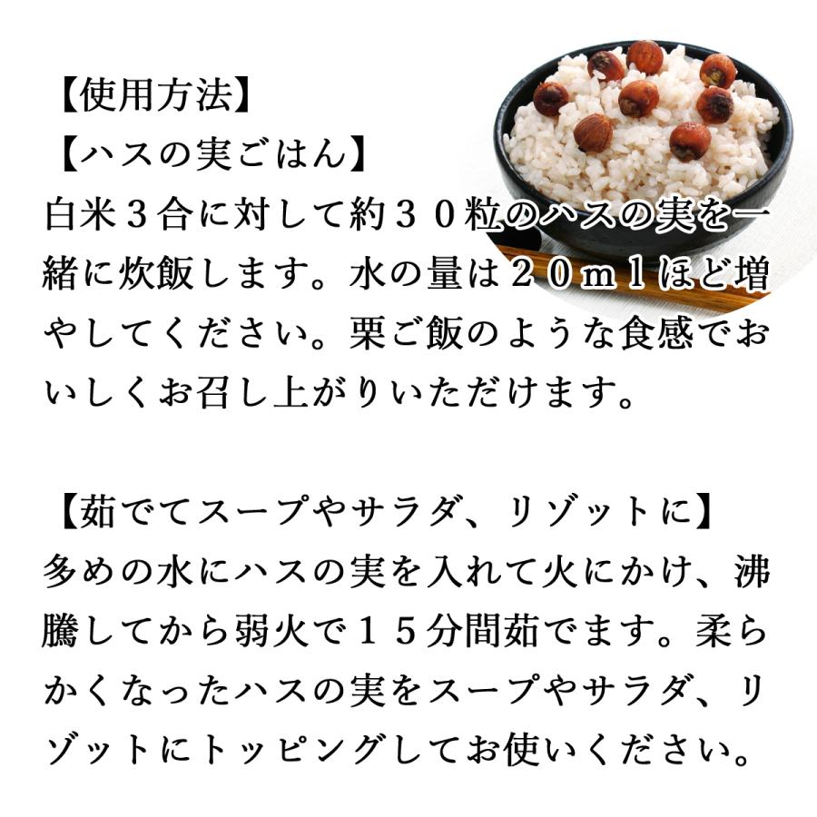 ハスの実 玄穀 1kg×2個 蓮の実 はすの実 ドライ 芯入り 無添加 送料無料｜hl-labo｜03