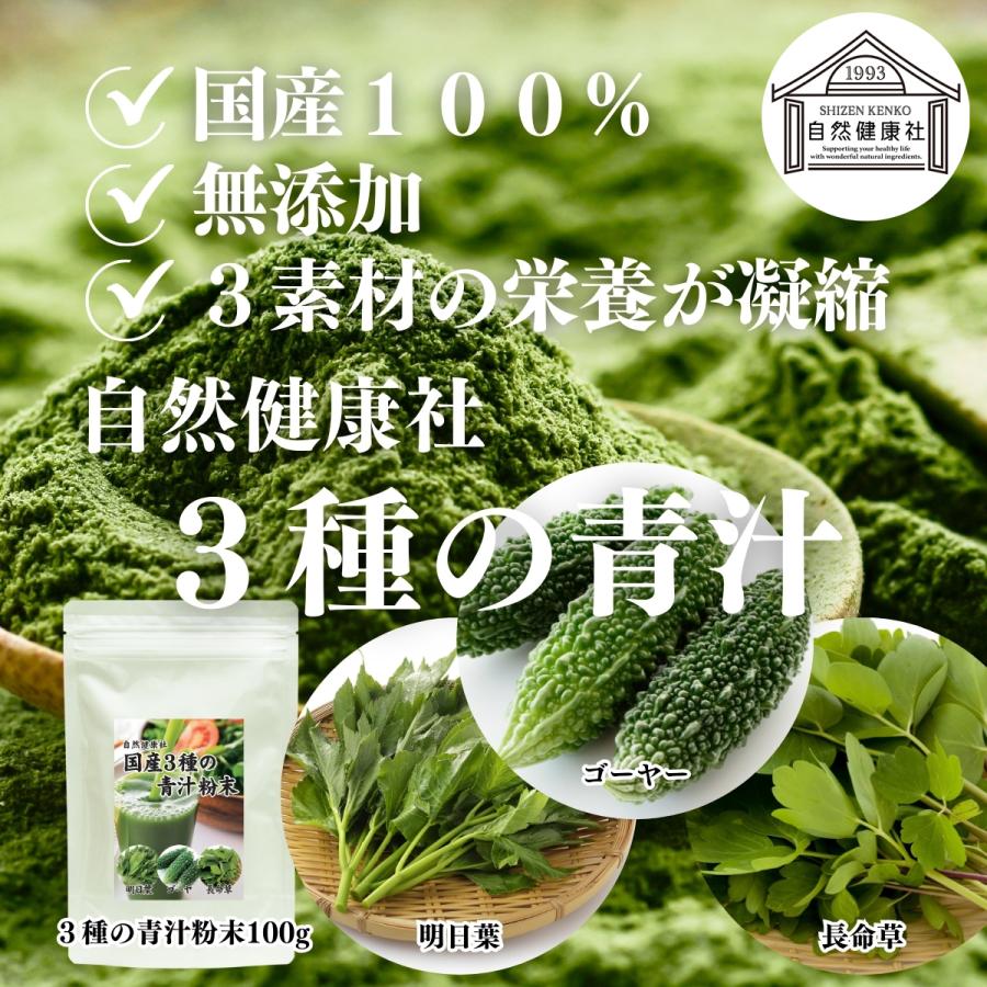 自然健康社 国産3種の青汁粉末 100g×2個 明日葉 ゴーヤ 長命草 粉末 