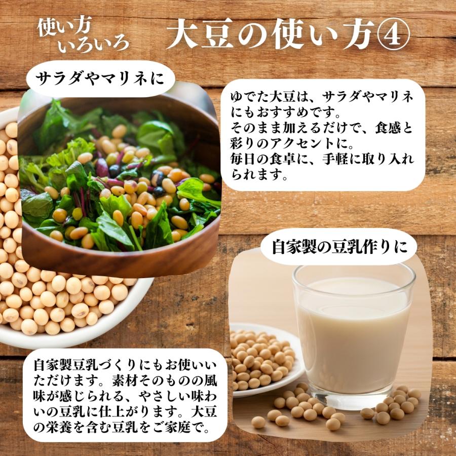 大豆 1kg×2個 国産 北海道産 トヨマサリ とよまさり ユキホマレ 乾燥 無添加 味噌用 豆乳用 生豆 | 自然健康社 | 11