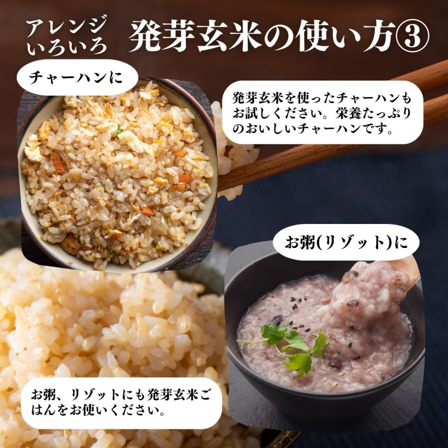 自然健康社 発芽玄米 1kg×2個 発芽米 玄米 無洗米 国産 ギャバ GABA 
