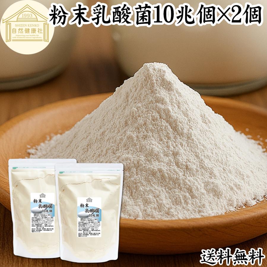 自然健康社 粉末乳酸菌 10兆個 1kg×2個 乳酸菌 サプリ サプリメント