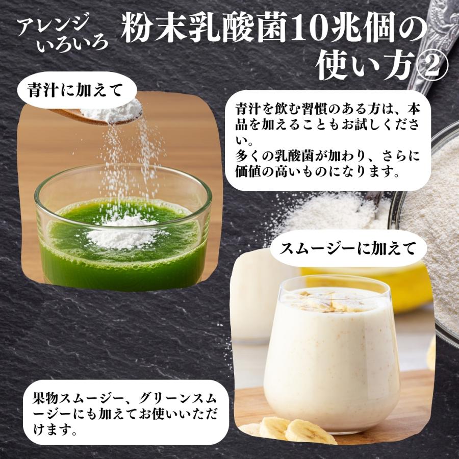 自然健康社 粉末乳酸菌 10兆個 1kg×2個 乳酸菌 サプリ サプリメント