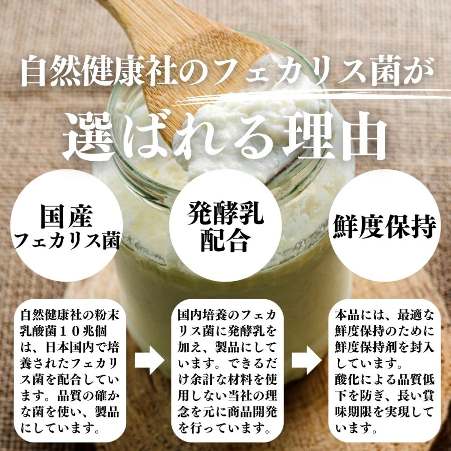 自然健康社 粉末乳酸菌 10兆個 1kg×2個 乳酸菌 サプリ サプリメント