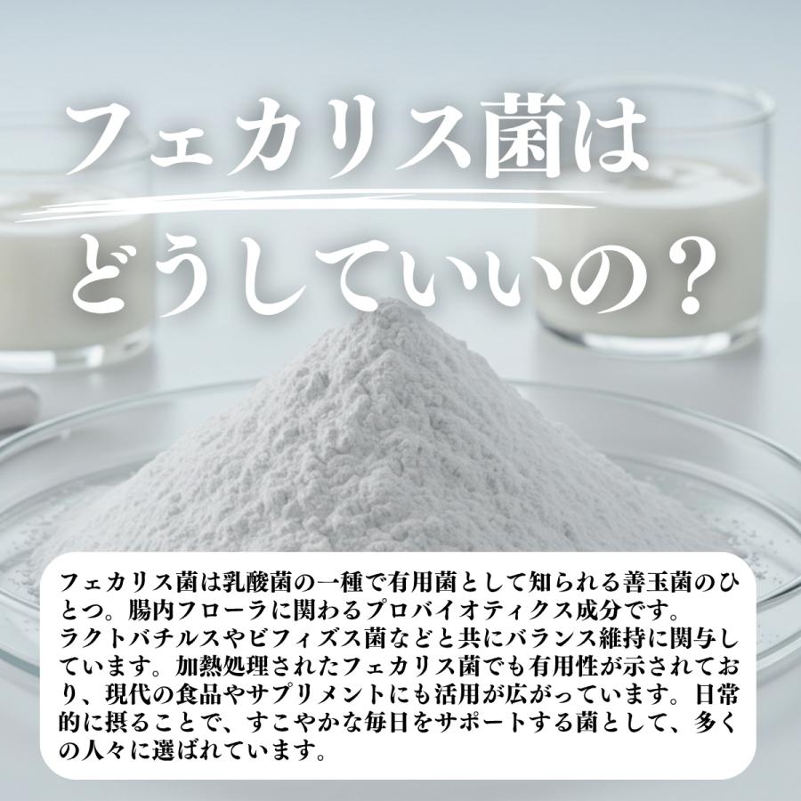 自然健康社 粉末乳酸菌 10兆個 1kg×2個 乳酸菌 サプリ サプリメント