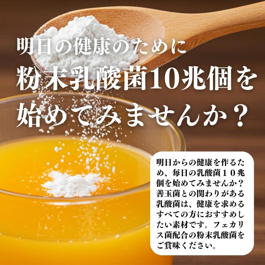 自然健康社 粉末乳酸菌 10兆個 1kg×2個 乳酸菌 サプリ サプリメント