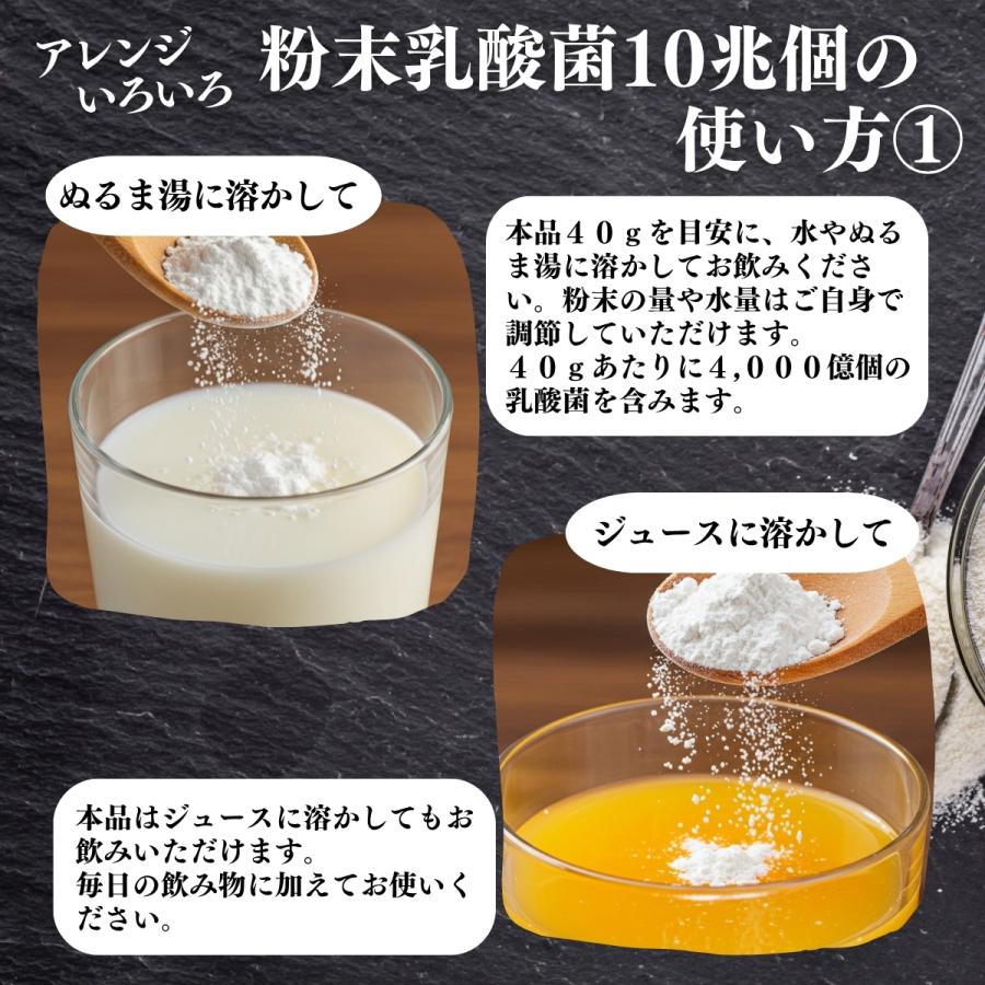 自然健康社 粉末乳酸菌 10兆個 1kg×2個 乳酸菌 サプリ サプリメント