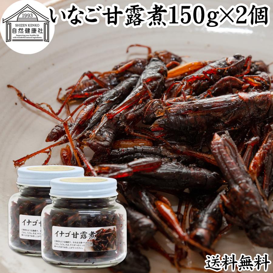予約 イナゴの佃煮 150g 2個 いなご 甘露煮 珍味 昆虫食 小えび 食感 送料無料