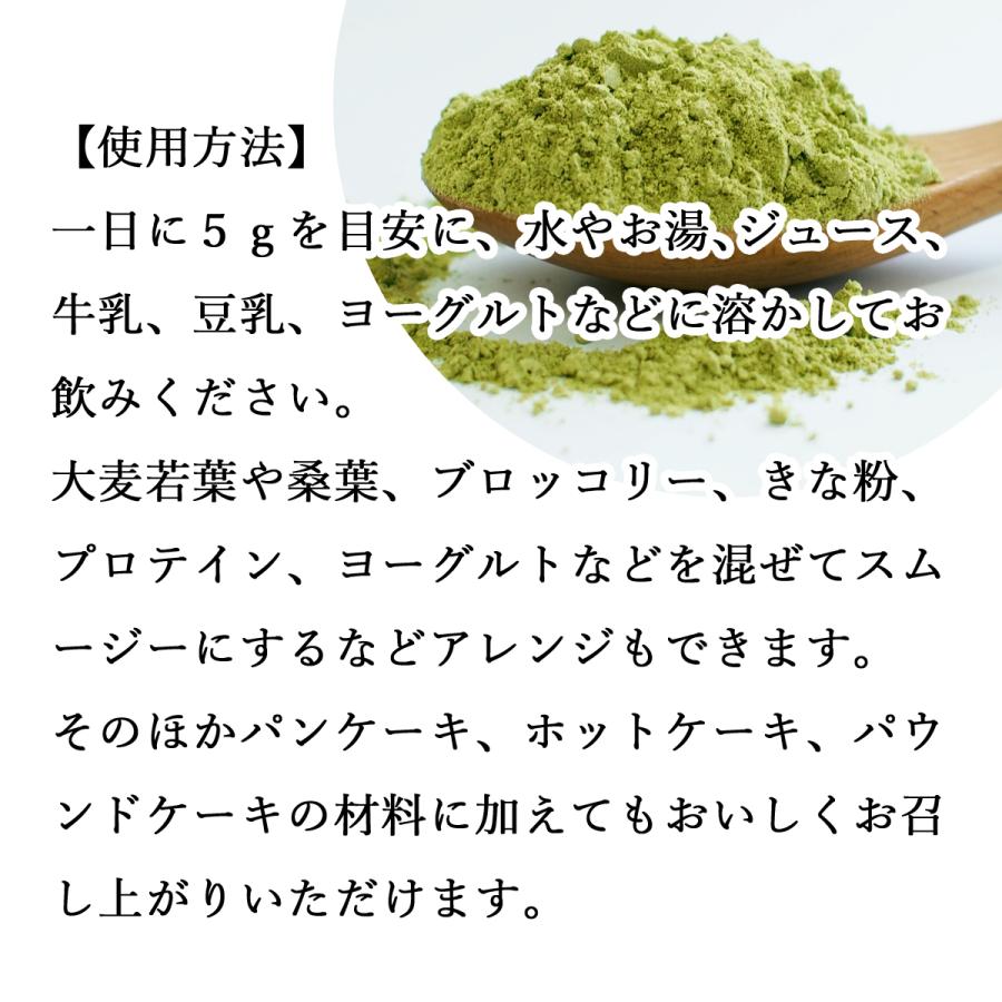 ゴーヤ粉末 100g×5個 ゴーヤ パウダー ゴーヤ茶 青汁 お試し 送料無料｜hl-labo｜04