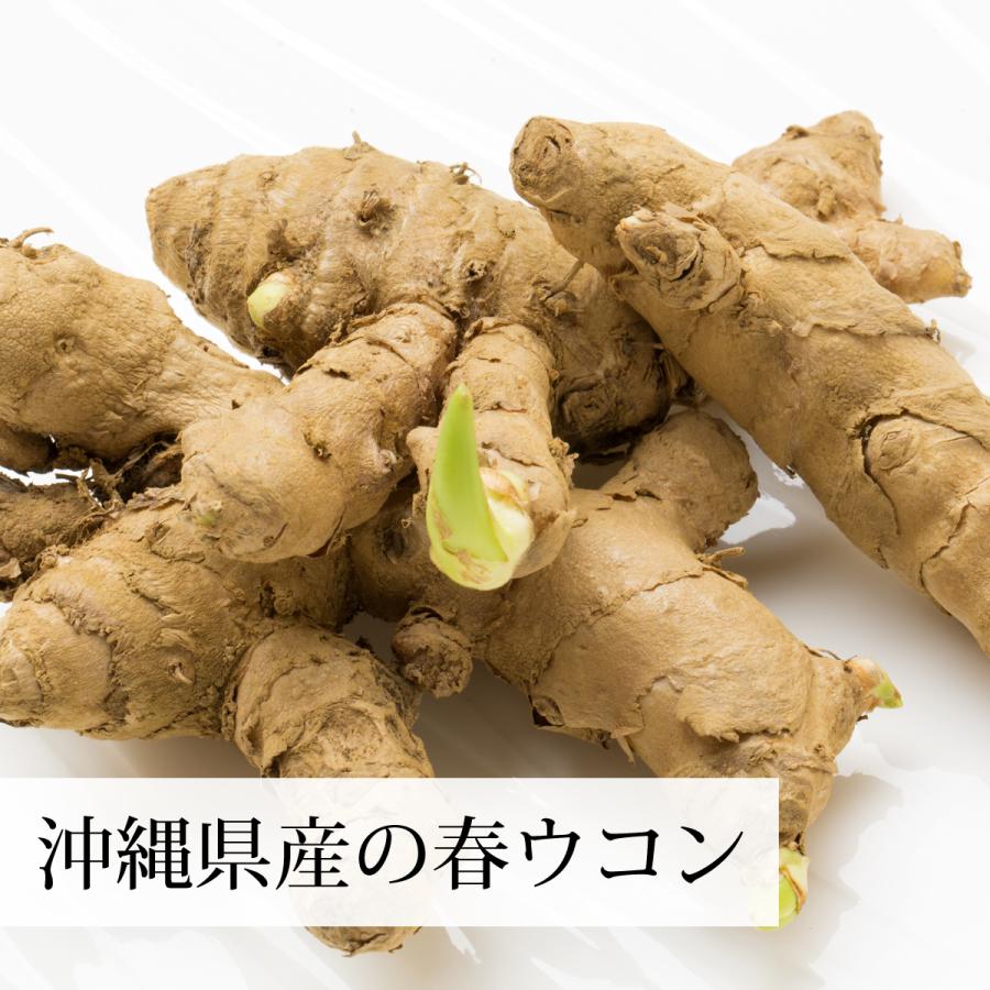 贅沢品 春うこん 粉末 1kg 4個 ウコン パウダー サプリ ウコン茶 粉茶 送料無料 Wantannas Go Id