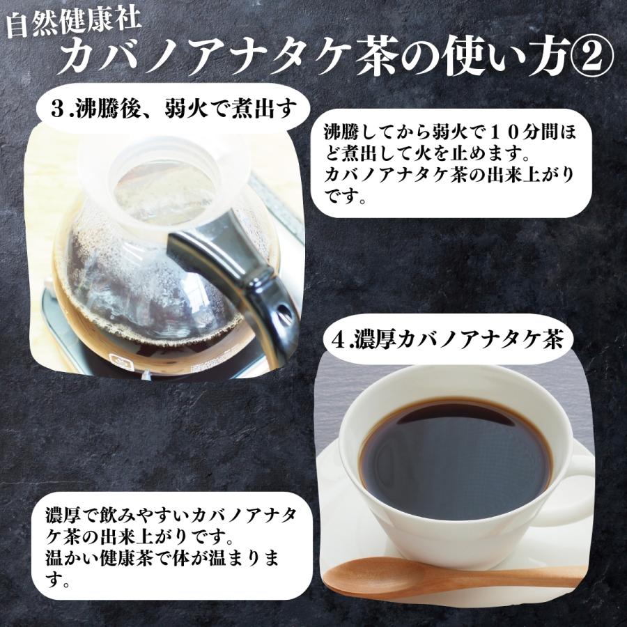 自然健康社 カバノアナタケ茶 32パック×4個 チャーガ茶 チャガ