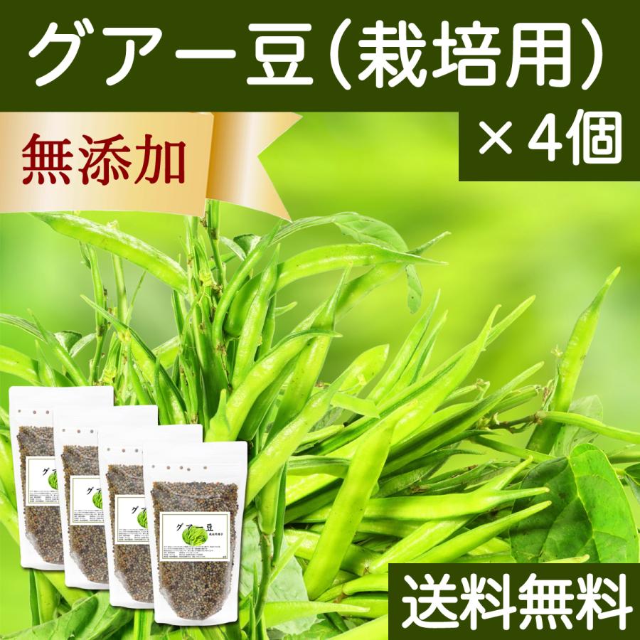 グアー豆400g×4個 作り出す用 内果皮 グア豆 固まり豆 穀類-花、ガーデニング-種、種子