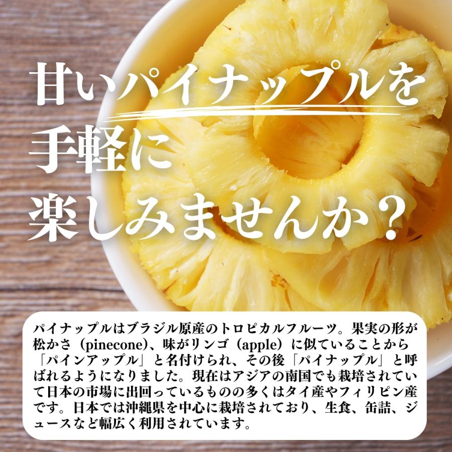 パイナップル パウダー 500g×4個 フルーツ パイン アップル 粉末_2