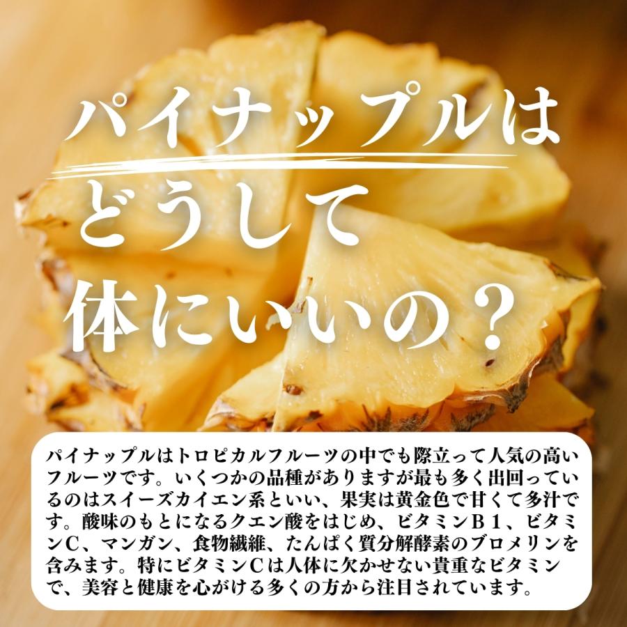 パイナップル パウダー 500g×4個 フルーツ パイン アップル 粉末_3