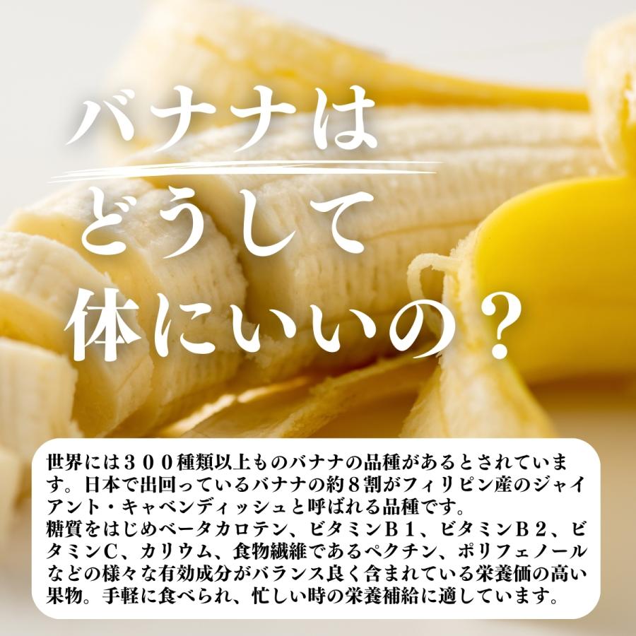 バナナパウダー 400g×4個 バナナ 粉末 フルーツ パウダー トリプトファン_7