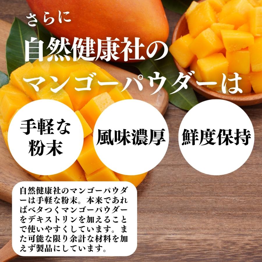 マンゴーパウダー 1kg×4個 フルーツ パウダー マンゴー 粉末_10