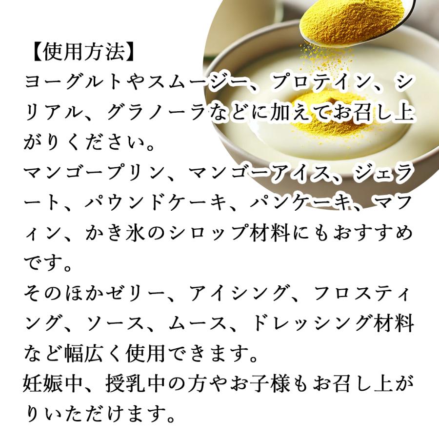 マンゴーパウダー 1kg×4個 フルーツ パウダー マンゴー 粉末_4