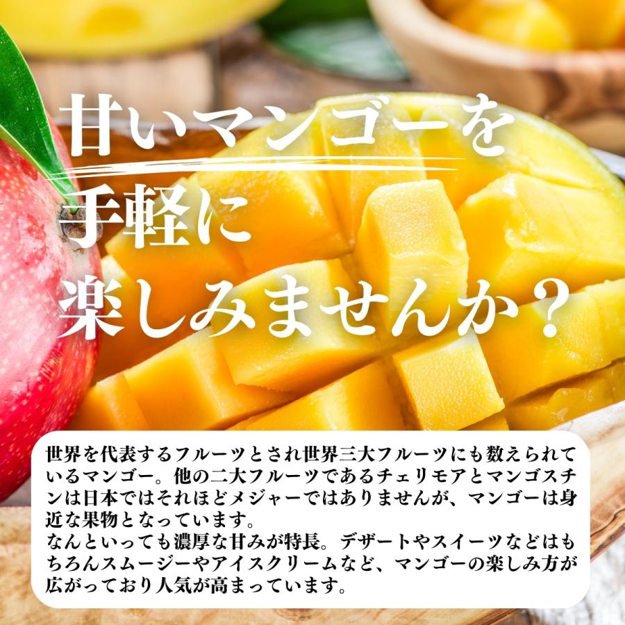 マンゴーパウダー 1kg×4個 フルーツ パウダー マンゴー 粉末_6