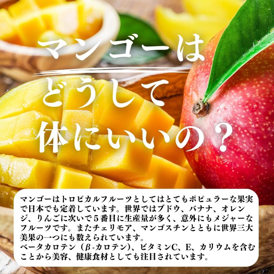 マンゴーパウダー 1kg×4個 フルーツ パウダー マンゴー 粉末_7