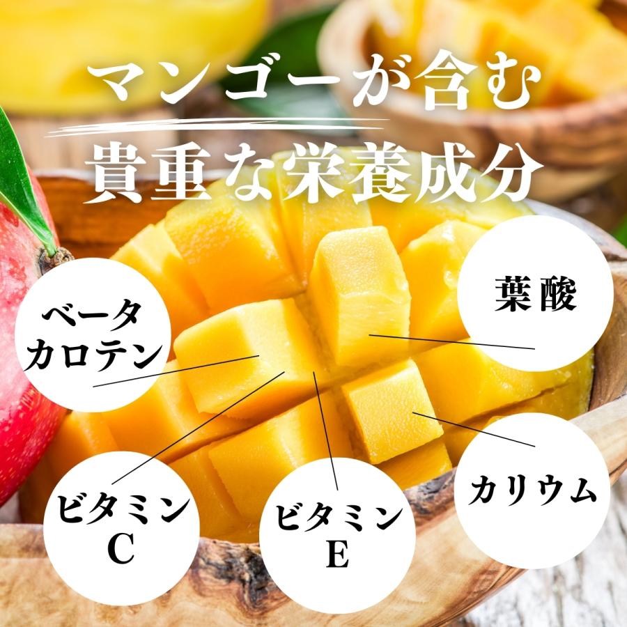 マンゴーパウダー 1kg×4個 フルーツ パウダー マンゴー 粉末_9