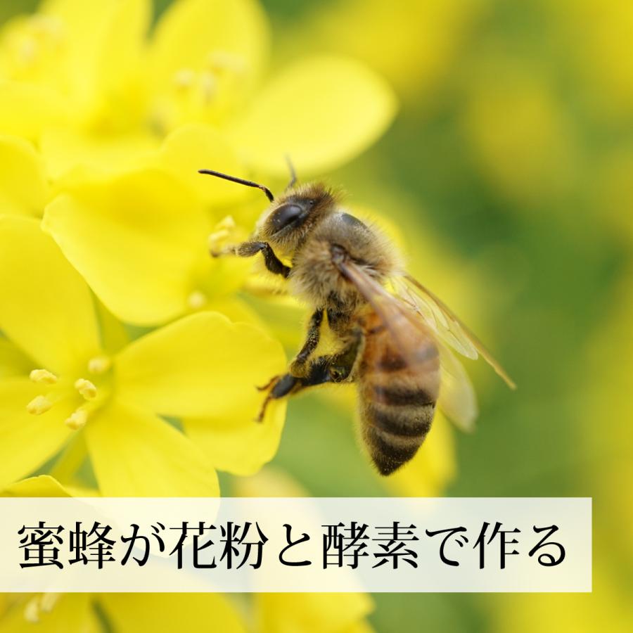 蜜蜂花粉 瓶 380g×5個 ビーポーレン スペイン産 無添加 100％ 非加熱 送料無料｜hl-labo｜05