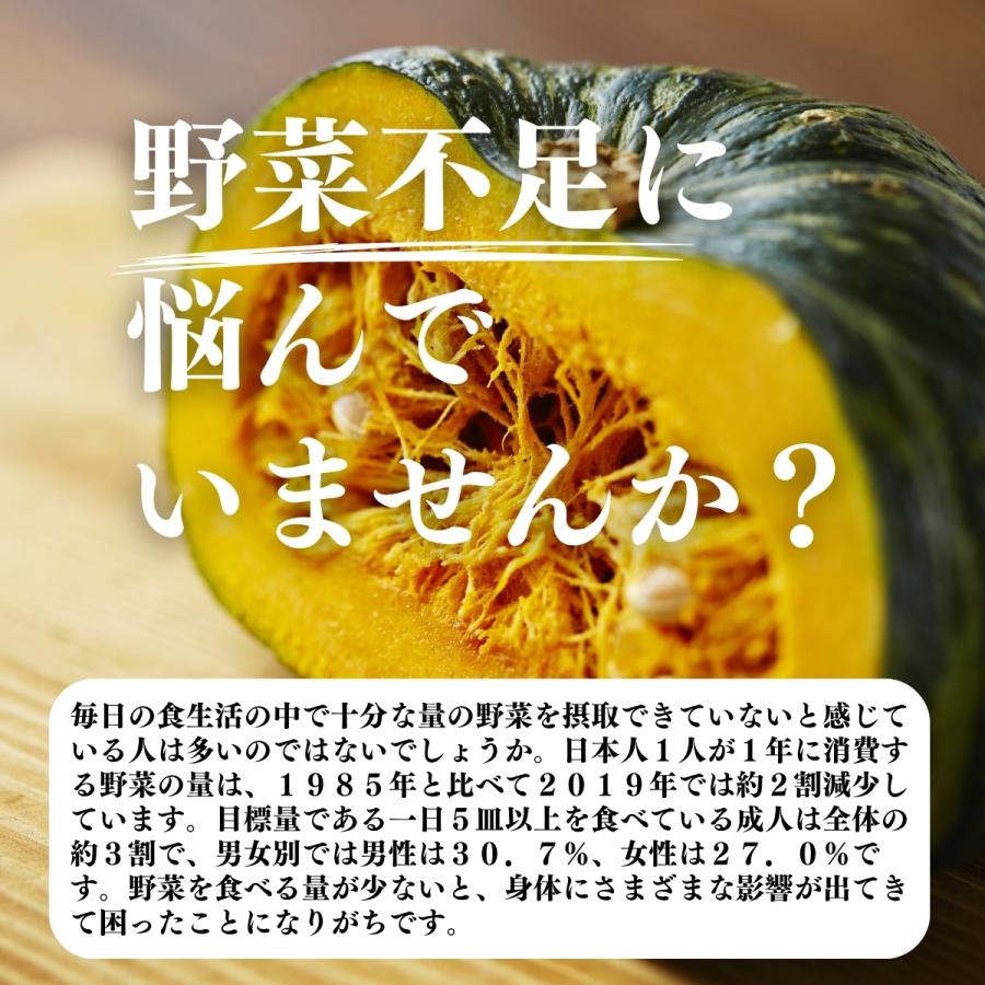 パンプキン 粉末 1kg×5個 かぼちゃ パウダー カボチャ 野菜 送料無料｜hl-labo｜07