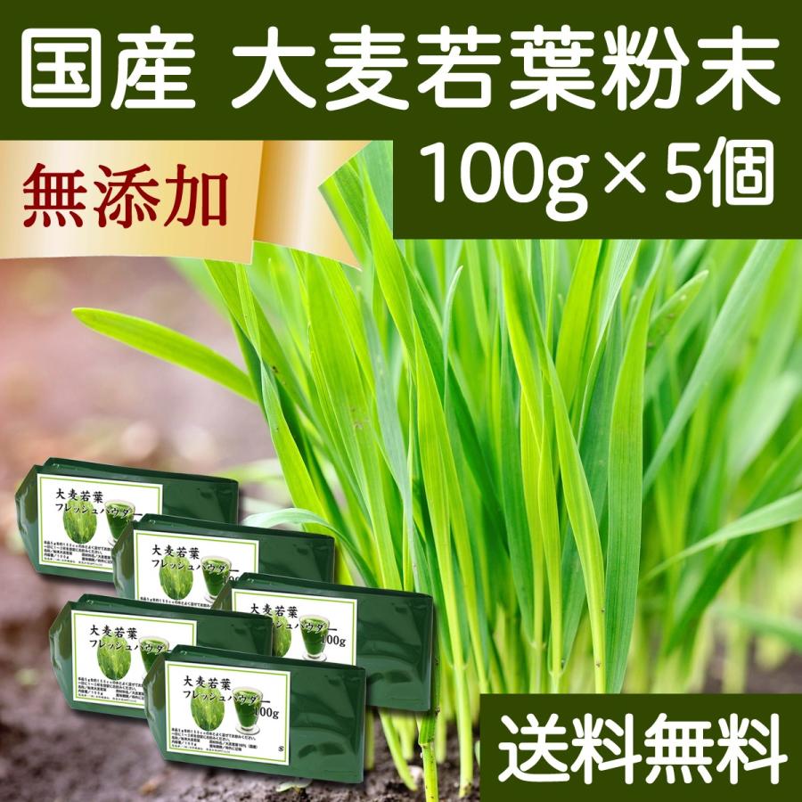 青汁 大麦若葉粉末100g 5個 国産 無添加 100 青汁スムージーに 野菜不足の方に 無農薬 送料無料 Ypt Or Id