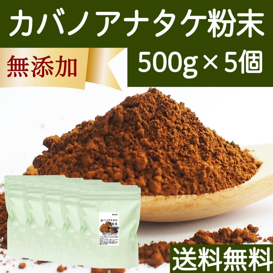 カバノアナタケ粉末 500g×5個 カバノアナタケ茶 チャーガ茶 チャガ茶｜hl-labo