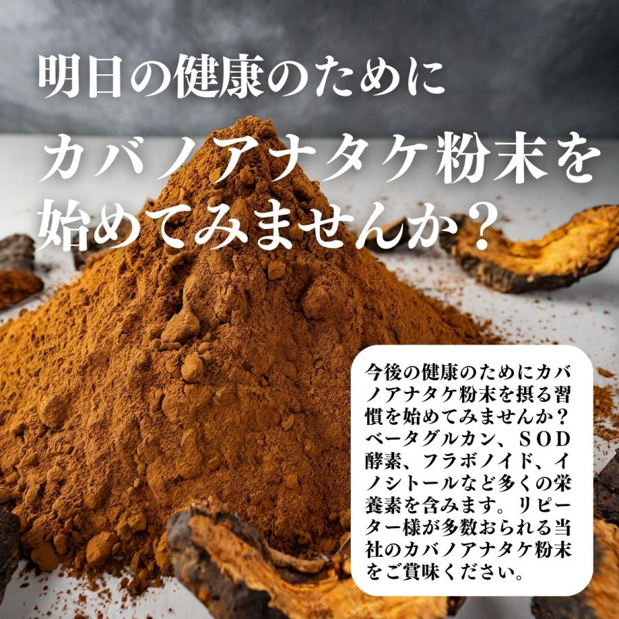 カバノアナタケ粉末 500g×5個 カバノアナタケ茶 チャーガ茶 チャガ茶の画像
