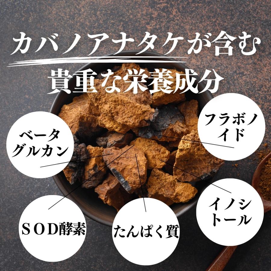 カバノアナタケ粉末 500g×5個 カバノアナタケ茶 チャーガ茶 チャガ茶の画像