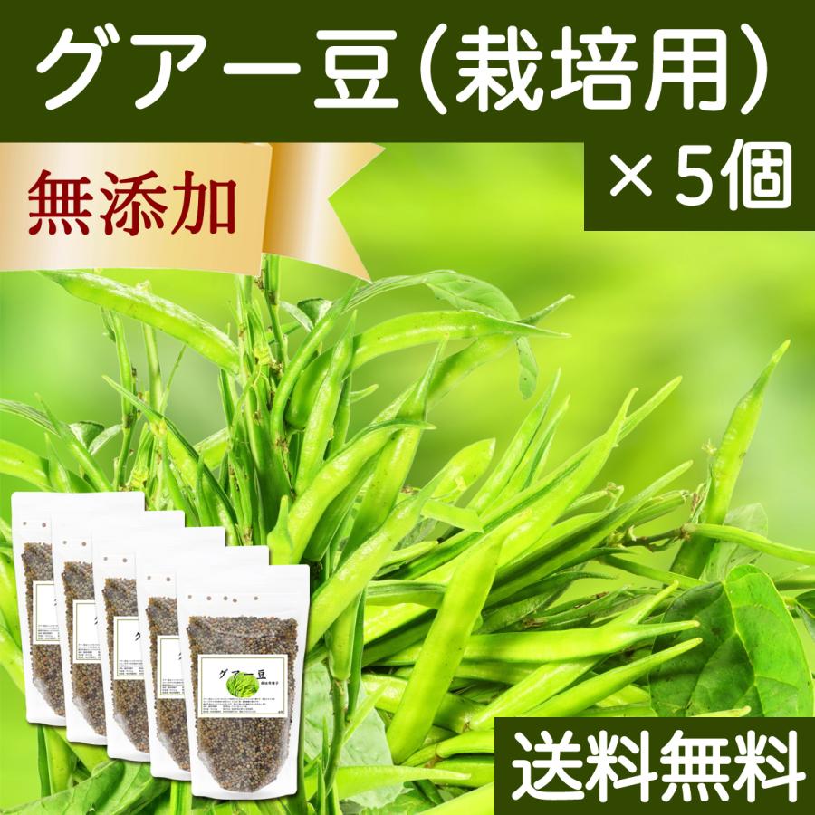 グアー豆400g×5個 作り出す用 内果皮 グア豆 固まり豆 種、種子-穀類