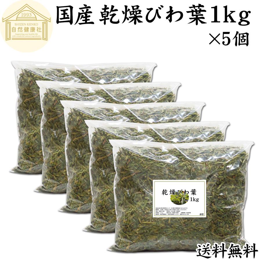 温活】温活 皇帝灸II ナノプラチナ ビワの葉温圧療法に！定価44500円