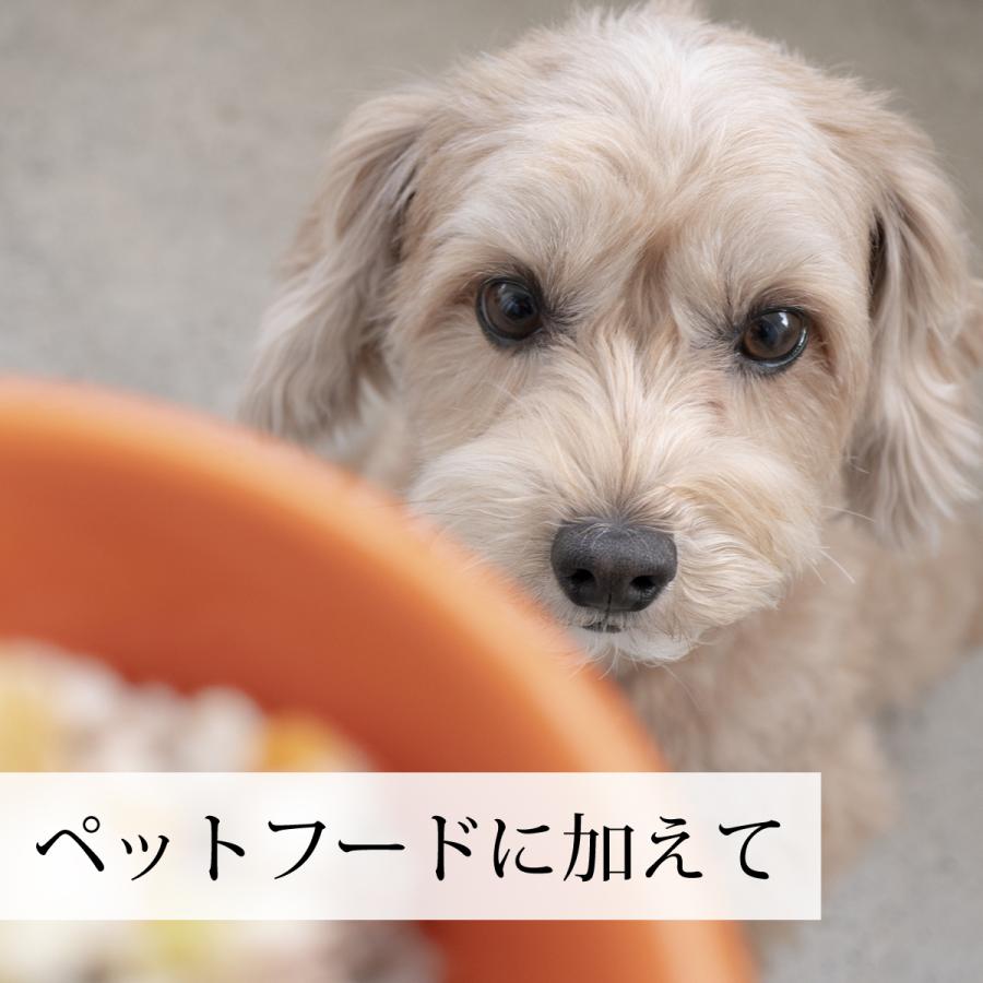 脱脂粉乳 1kg 5個 スキムミルク 業務用 無添加 脱脂乳 国産 送料無料 値段が激安