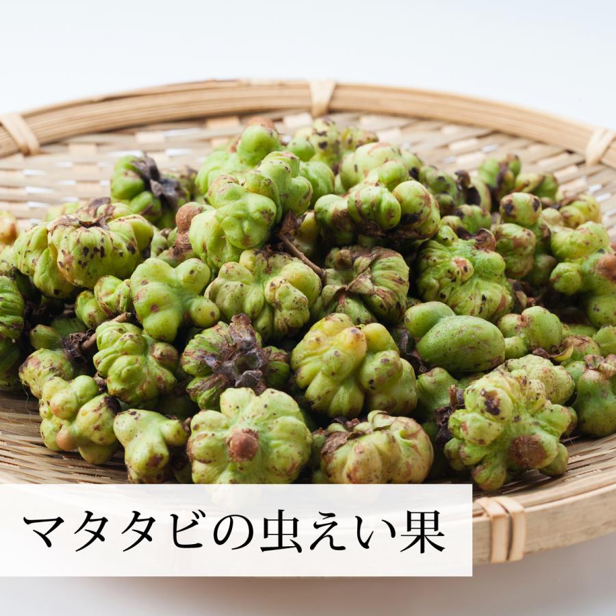 マタタビの実 1kg×5個 またたびの実 乾燥 虫えい果 マタタビ酒に_1