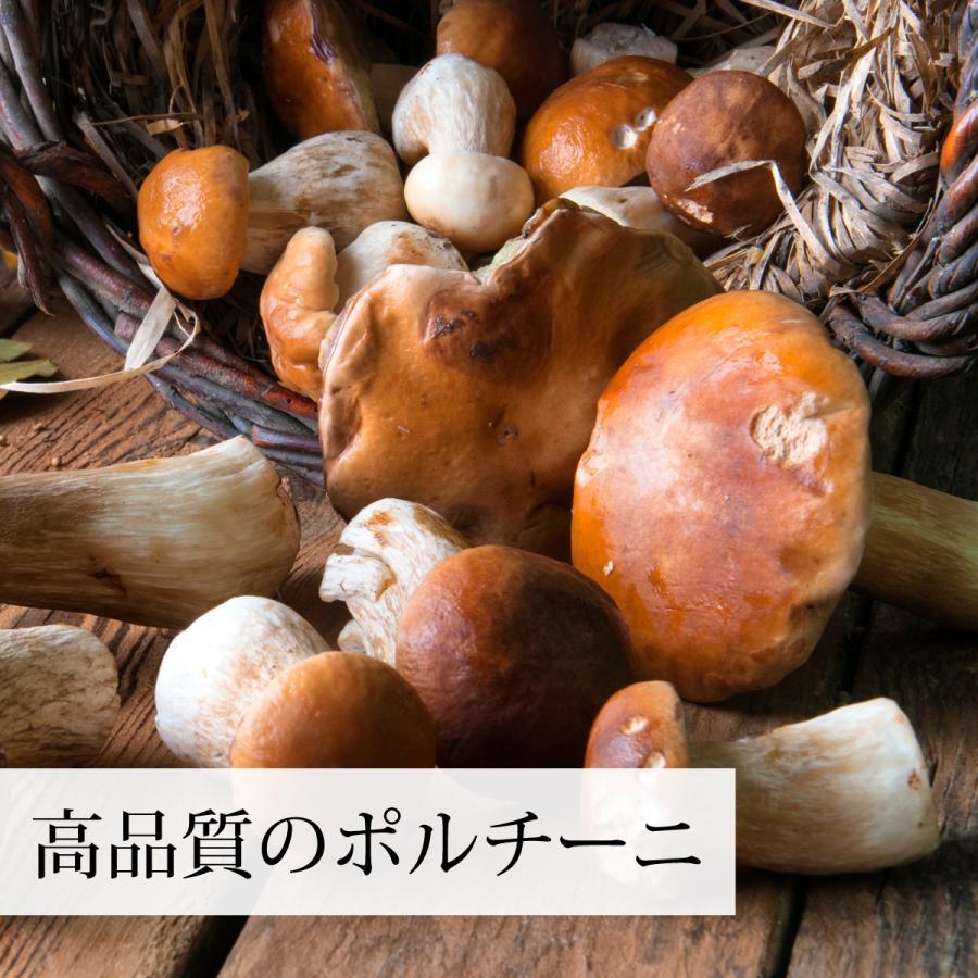 乾燥 ポルチーニ 200g×5個 ポルチーニ 茸 無添加 農薬不使用 ポルチーニ 農薬不使用